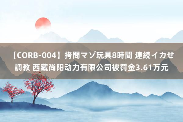 【CORB-004】拷問マゾ玩具8時間 連続イカせ調教 西藏尚阳动力有限公司被罚金3.61万元