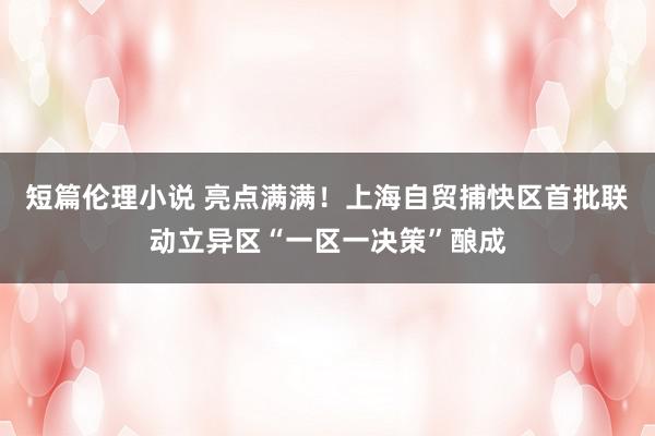 短篇伦理小说 亮点满满！上海自贸捕快区首批联动立异区“一区一决策”酿成