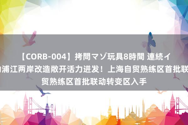 【CORB-004】拷問マゾ玩具8時間 連続イカせ調教 推动浦江两岸改造敞开活力迸发！上海自贸熟练区首批联动转变区入手