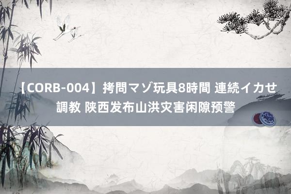 【CORB-004】拷問マゾ玩具8時間 連続イカせ調教 陕西发布山洪灾害闲隙预警