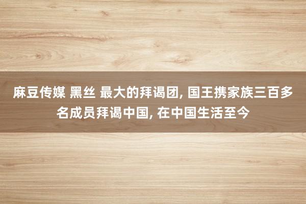 麻豆传媒 黑丝 最大的拜谒团, 国王携家族三百多名成员拜谒中国, 在中国生活至今