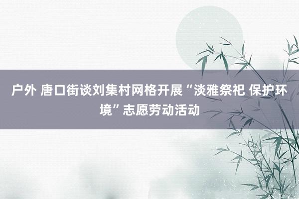户外 唐口街谈刘集村网格开展“淡雅祭祀 保护环境”志愿劳动活动