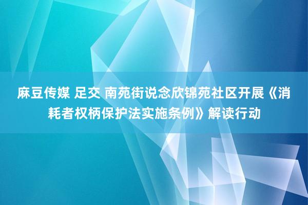 麻豆传媒 足交 南苑街说念欣锦苑社区开展《消耗者权柄保护法实施条例》解读行动