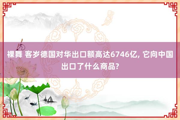 裸舞 客岁德国对华出口额高达6746亿, 它向中国出口了什么商品?
